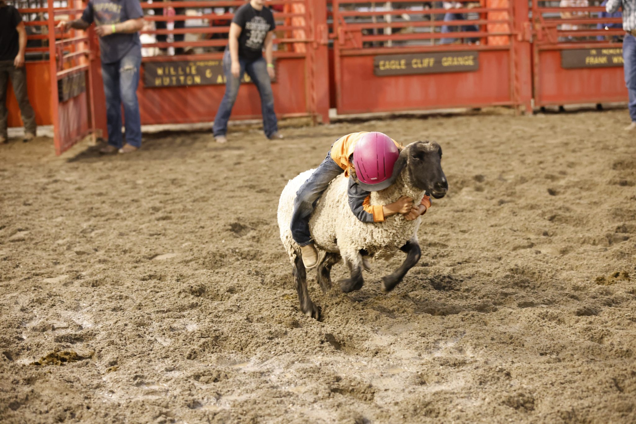 Schedule Ferry County Fair